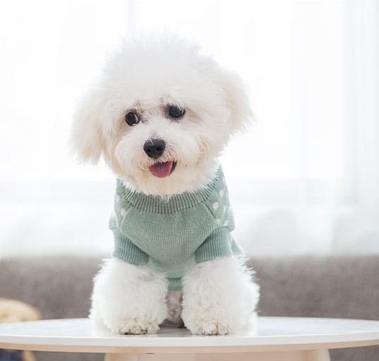 Dog clothes - Image 2