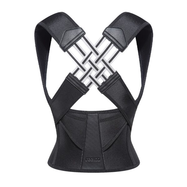 Essential Haven- Back Support Belt -Fix Posture & Relieve Pain Naturally - Image 2