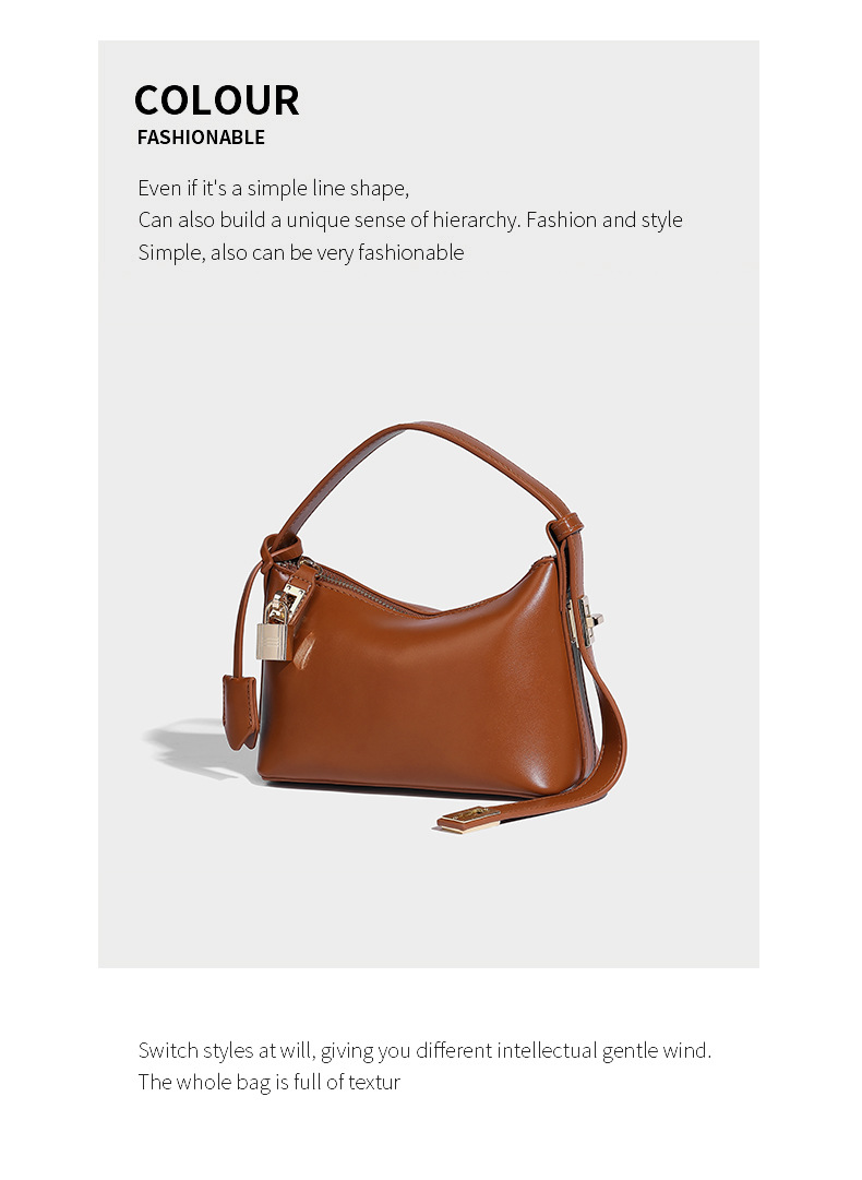 Special Interest Light Luxury Women's Bags Classical Spring Underarm Bag - Image 12