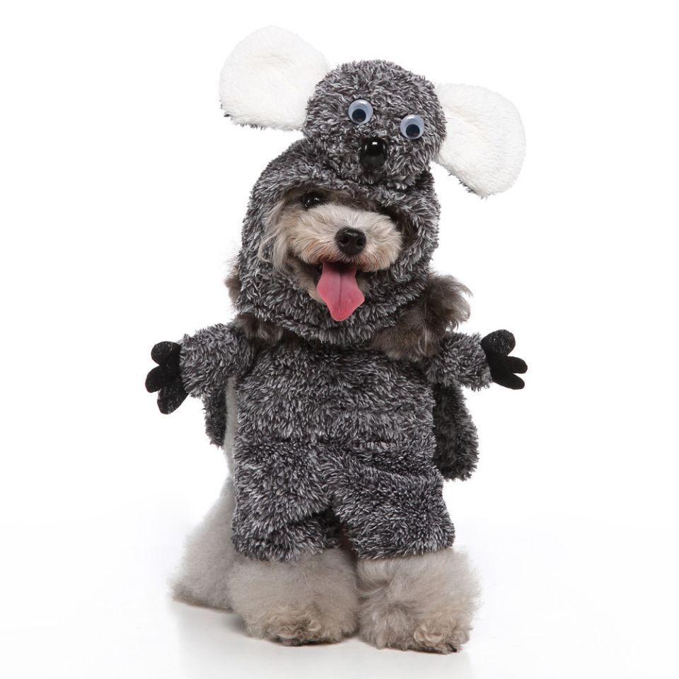 European And American Pet Products Clothing - Image 15