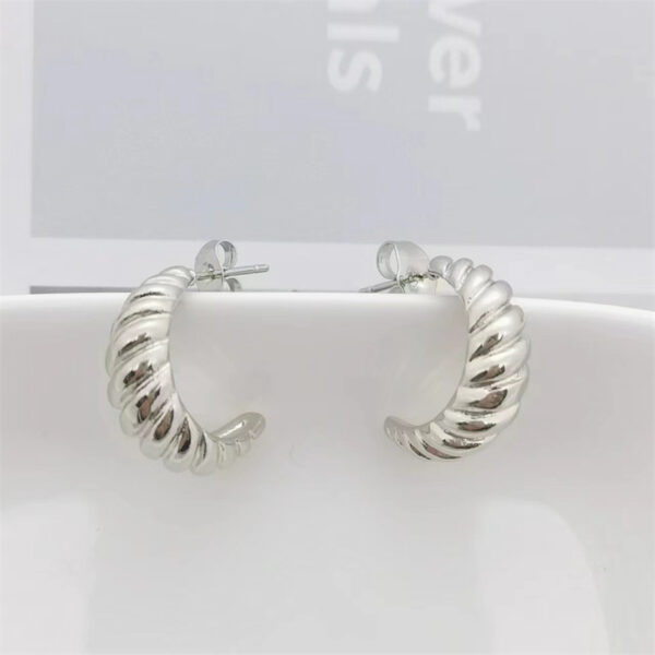Fashionable Short Sheep-Horn Stud Earrings For Women - Image 7