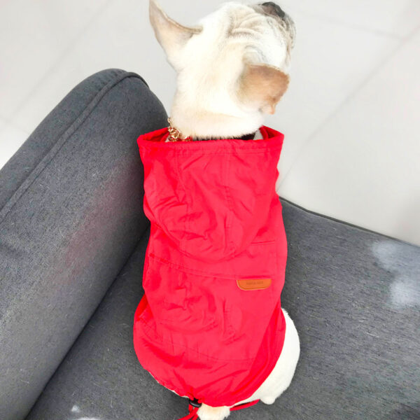 Sunscreen for dogs - Image 17