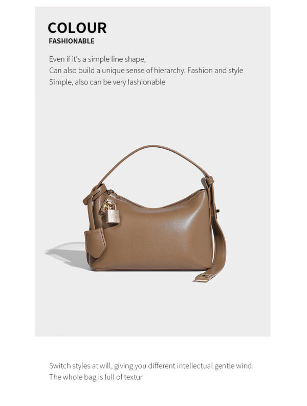 Special Interest Light Luxury Women's Bags Classical Spring Underarm Bag - Image 18