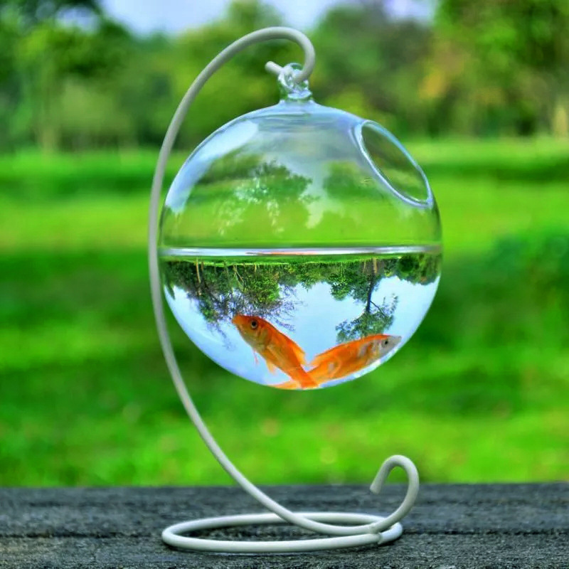 Hanging Glass Vase Fish Tank - Image 8