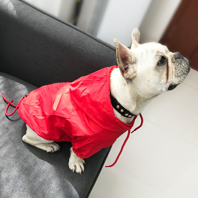 Sunscreen for dogs - Image 5
