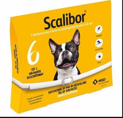 Dog Cat Flea Deworming Collar - Image 5