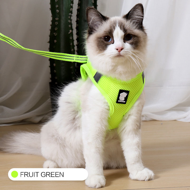 Anti-strike cat traction cat harness - Image 17