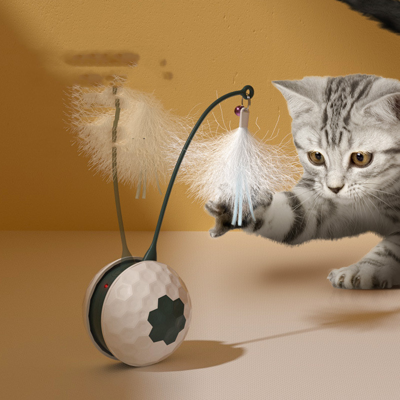 Enjoying Electric Intelligent Bite Resistant Cat Toys Pet Products - Image 1