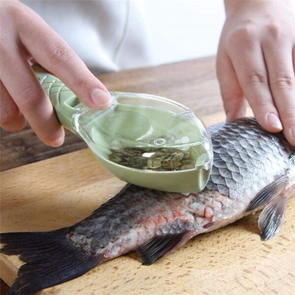 Fish Skin Brush Scraping Fish Scale Brush Grater Quick Disassembly Fish Knife Cleaning Peeling Skin Scraper Scraper Fish Scaler Kitchen Tools - Image 20