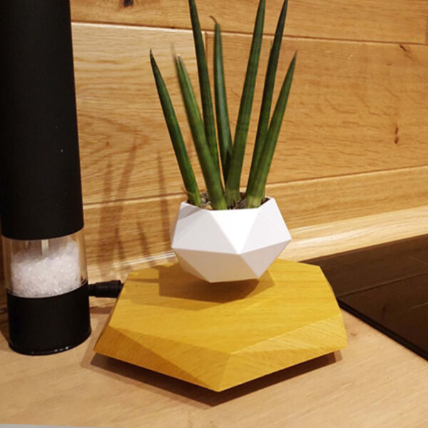 Floating Magnetic Levitating Flower Pot Bonsai Air Plant Pot Planter Potted For Home Office Desk Decor Creative Gift - Image 20