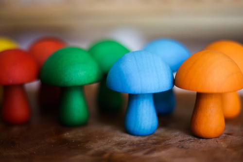 QToys Australia Color Mushroom Set of 10