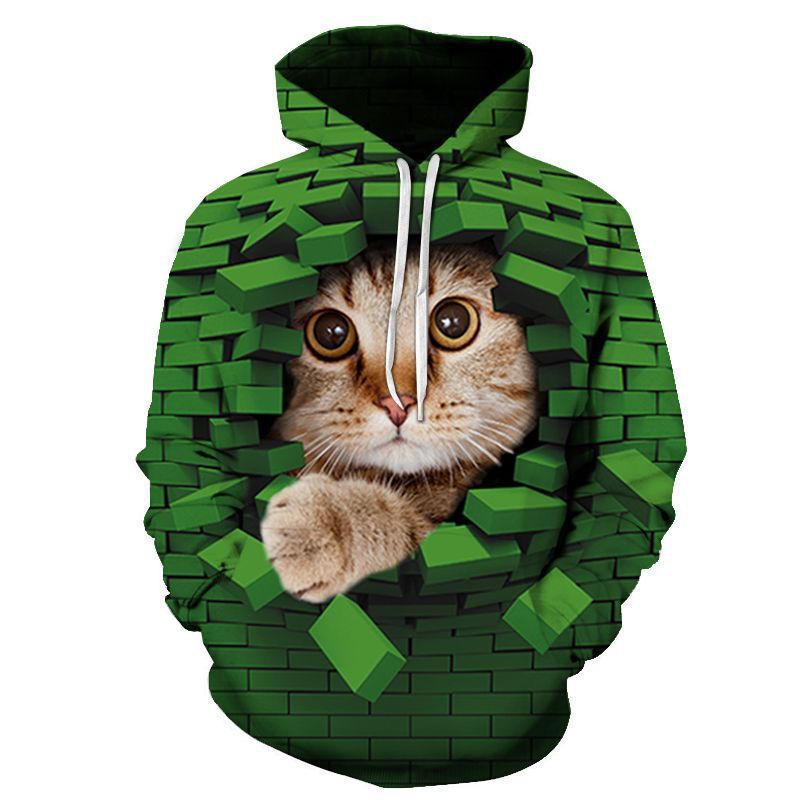 Couples Hoodie With 3D Digital Cat Print - Image 1