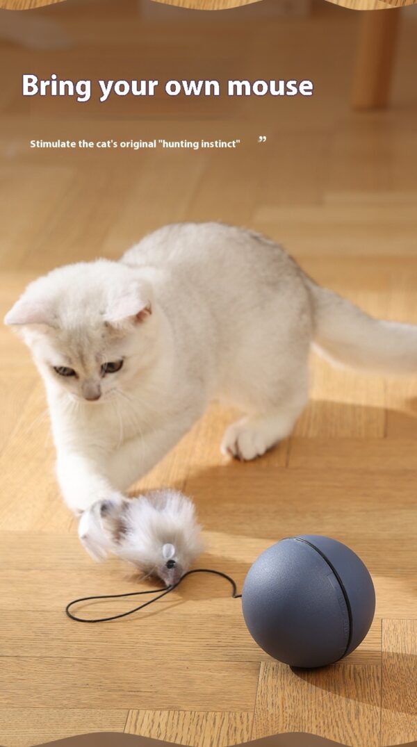 Cat Toys Mouse Teaser Ball Funny Moving Toy For Pets Cat Dog Electric Teaser Ball Automatic Intelligent Rolling Ball Pet Products - Image 9