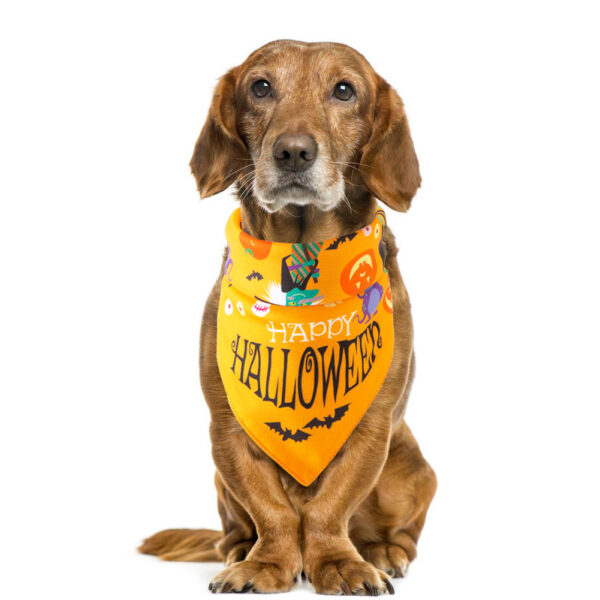 Halloween pet saliva towel - Image 18