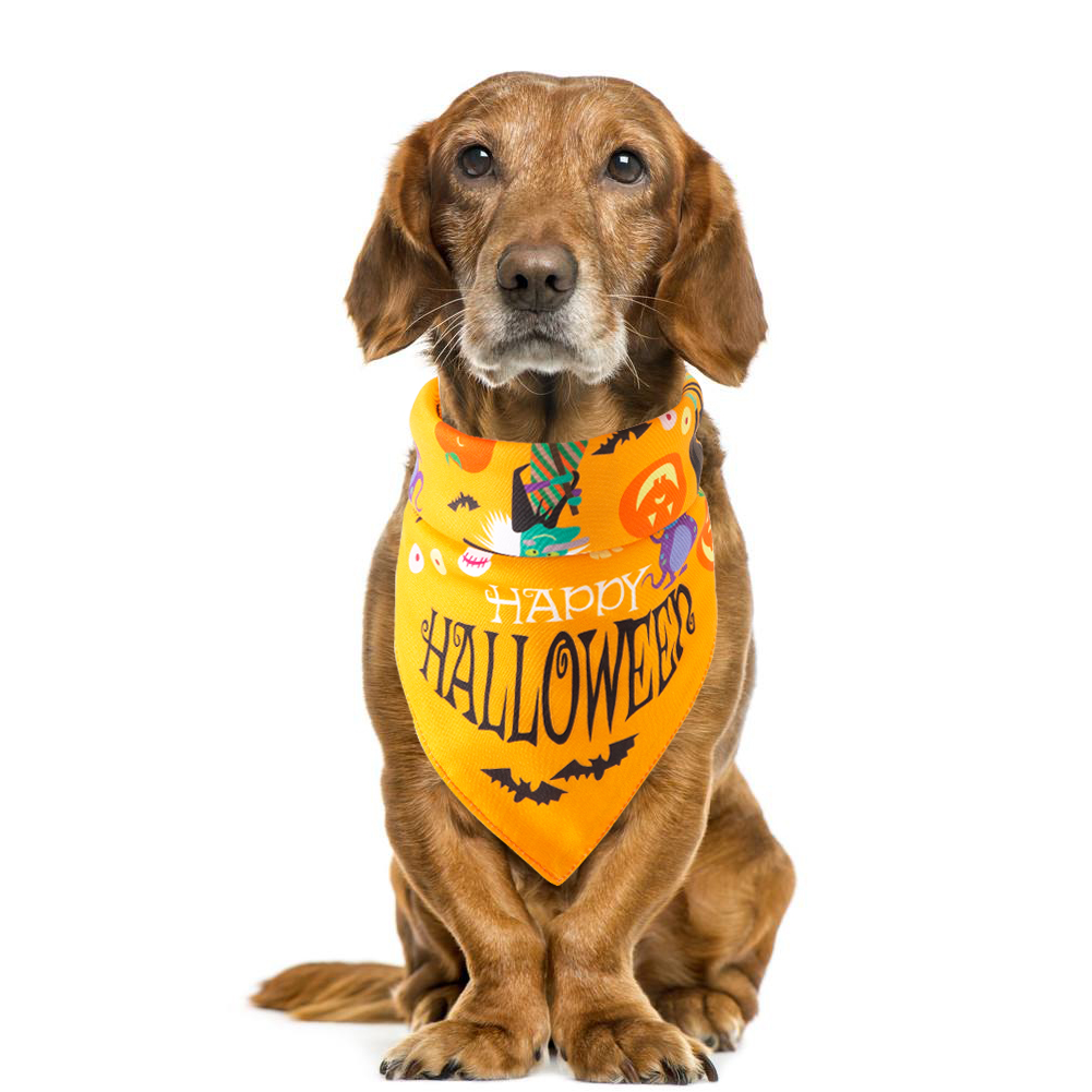 Halloween pet saliva towel - Image 18