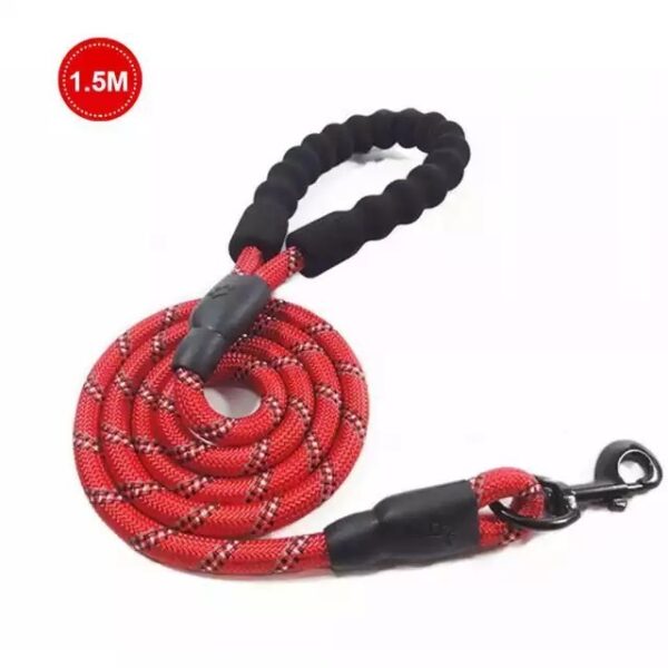 Small Medium Sized Pet Dog Luminous Leash Chain Puppies - Image 23