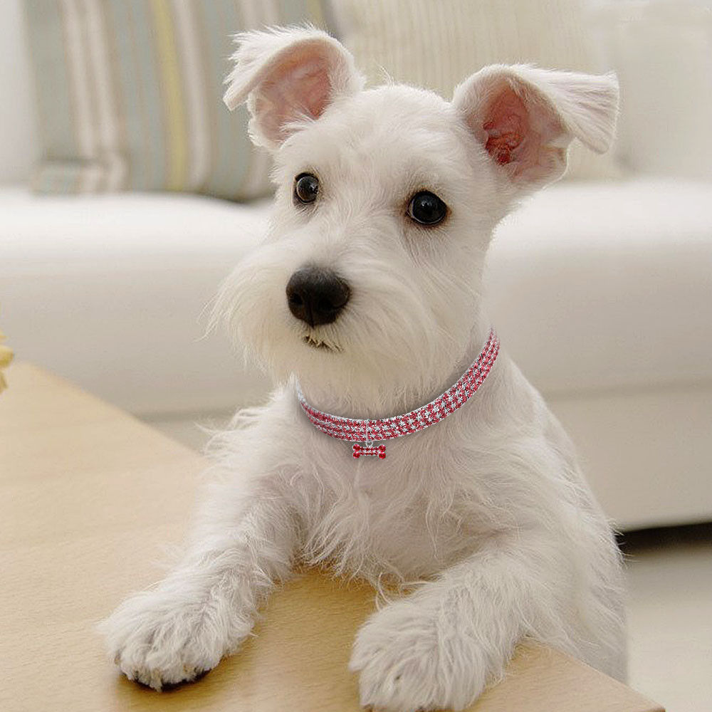 Bling Rhinestone Dog Collar Crystal Puppy Chihuahua Pet Dog Collars Leash For Small Medium Dogs Cats - Image 4