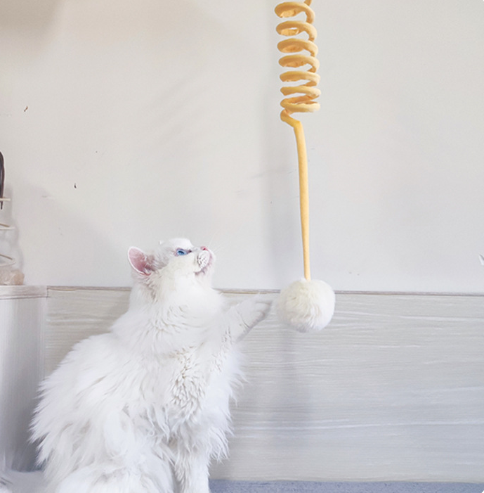 Cat Toy Self-Hi Sucker Spring Rabbit Hair Ball Interactive Play Pet Supplies Interactive Toys - Image 15