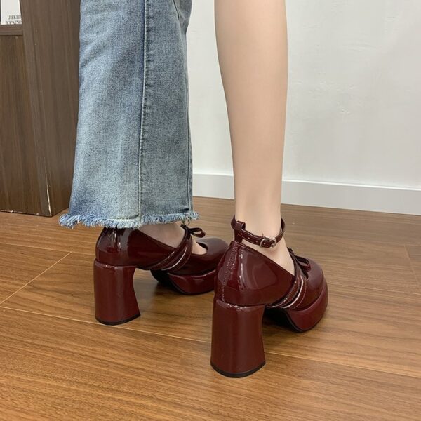 French Style Super High Heel Retro Mary Janes For Women  2026 Spring New Fashion Versatile Platform Block Heel Pumps - Image 2