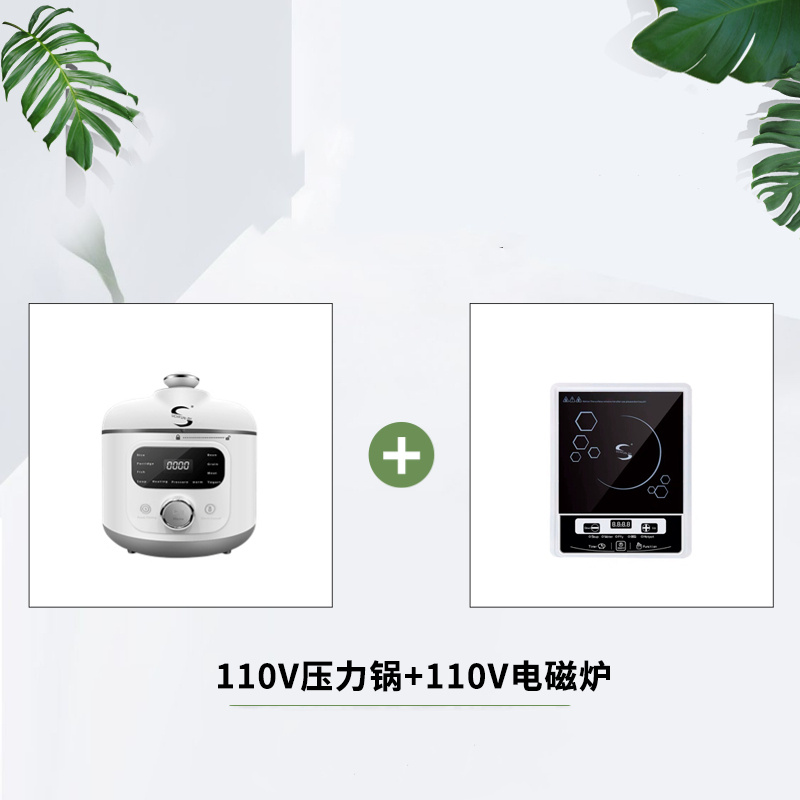 110V V Electric Pressure Cooker Small Household Appliances - Image 18