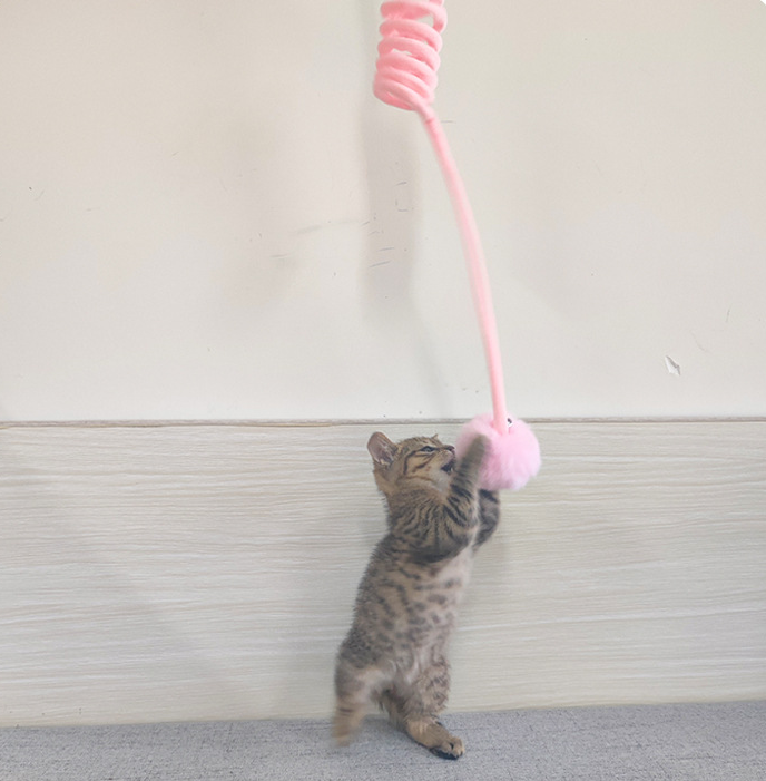 Cat Toy Self-Hi Sucker Spring Rabbit Hair Ball Interactive Play Pet Supplies Interactive Toys - Image 17