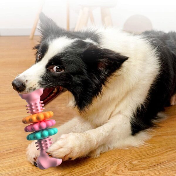 Dog Chew Toy Dog Bone Type  Dogs Teeth Cleaning Toys Indestructible TPR Bone Chewing Bite Resistant Teething Toys  Pet Products - Image 4