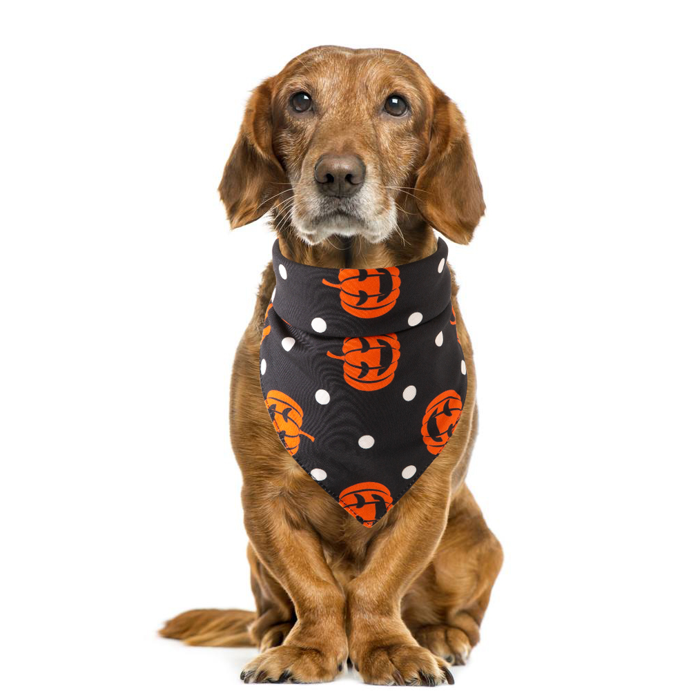 Halloween pet saliva towel - Image 12