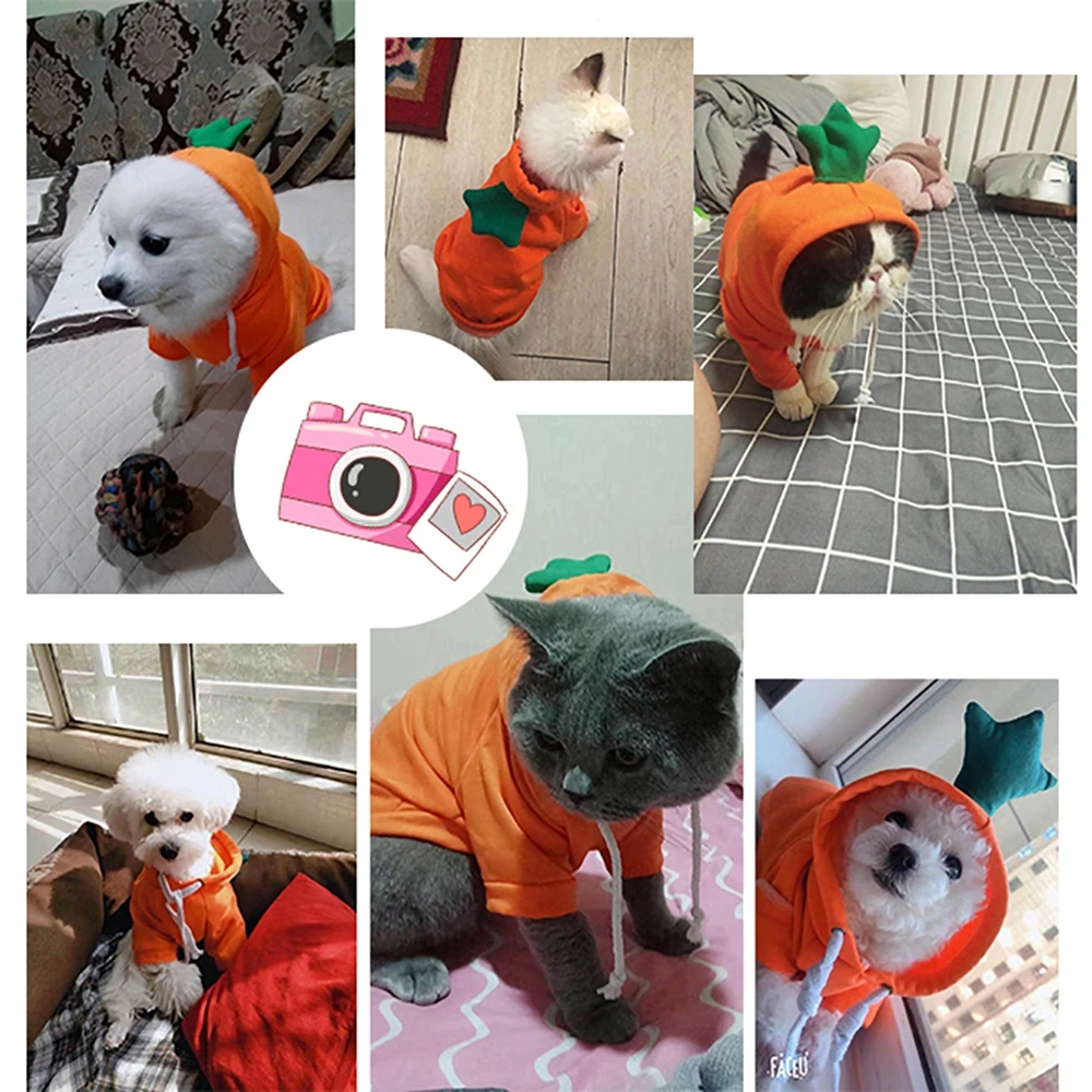 Cute Fruit Dog Clothes For Small Dogs Hoodies Winter Warm Fleece Pet Clothing Puppy Cat Costume Coat For French Chihuahua Outfit - Image 19