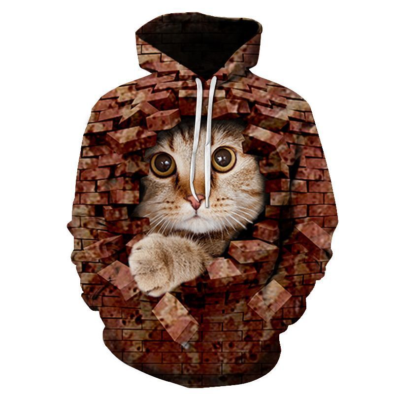 Couples Hoodie With 3D Digital Cat Print - Image 114