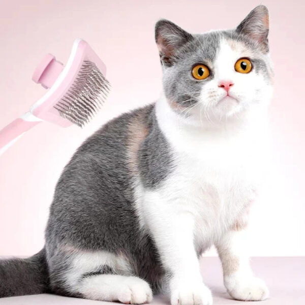 Self Cleaning Slicker Brush For Dogs, Cats Pets-One Click Cleaning Function-Gentle Effective Cat, Pet Dog Hair Remover-Dog Grooming Accessories For Small, Medium Large Dogs - Image 2