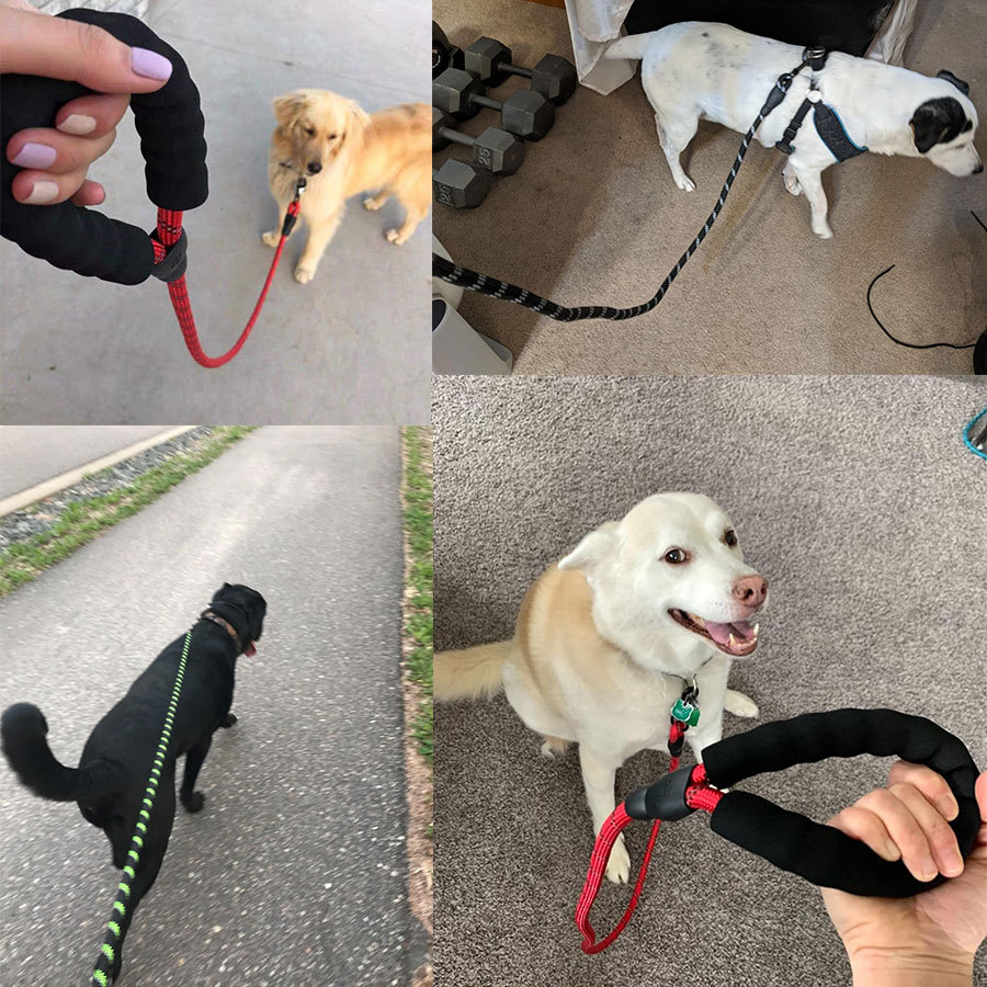 Small Medium Sized Pet Dog Luminous Leash Chain Puppies - Image 5