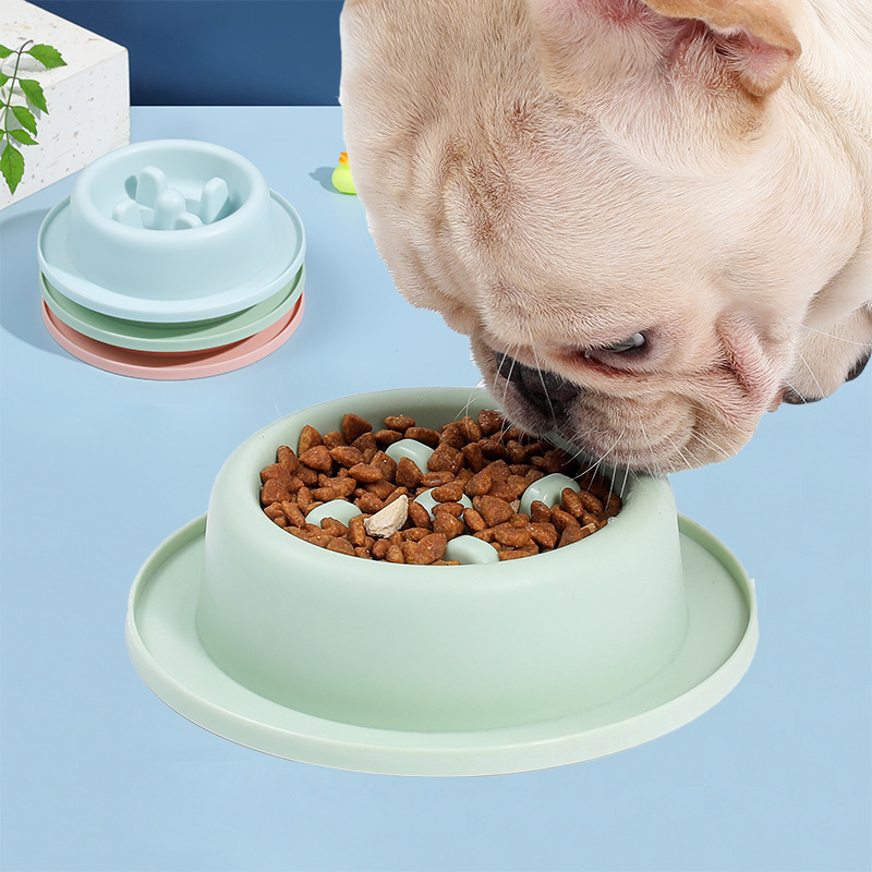 Pet Slow Food Bowl Anti-choking Food Apparatus - Image 1