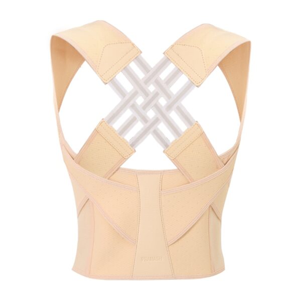 Essential Haven- Back Support Belt -Fix Posture & Relieve Pain Naturally - Image 3