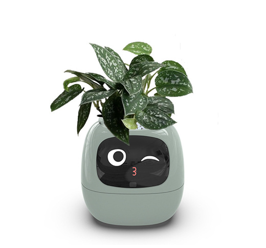 Smart Planter Endless Fun Over 49 Rich Expressions 7 Smart Sensors And AI Chips Make Raising Plants Easy And Fun - Image 26