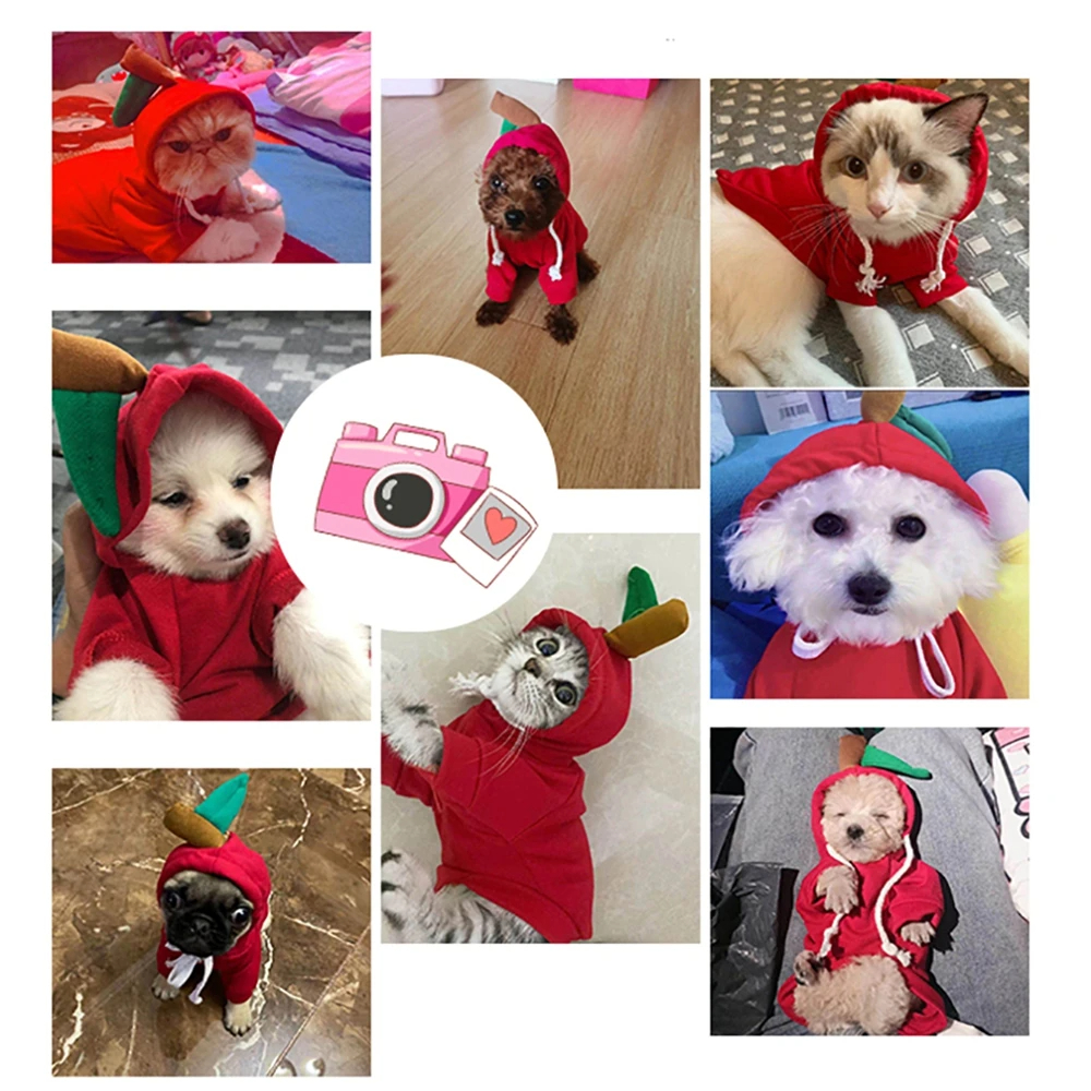 Cute Fruit Dog Clothes For Small Dogs Hoodies Winter Warm Fleece Pet Clothing Puppy Cat Costume Coat For French Chihuahua Outfit - Image 18