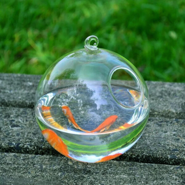 Hanging Glass Vase Fish Tank - Image 6