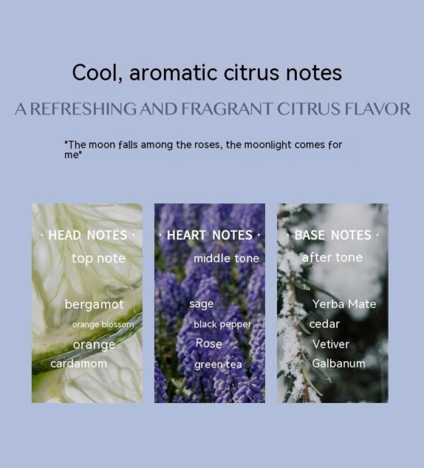 Aromatic Citrus Aromatic Perfume Long-lasting Perfume - Image 2