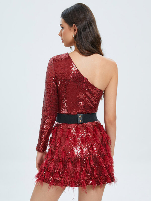 Women's Solid Color Waist Cinched Sequin Feather Decoration Dress - Image 13