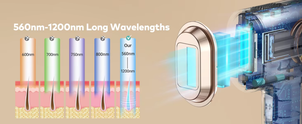 Hair Removal Device