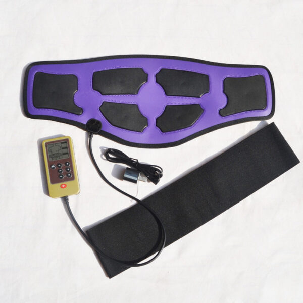 Waist Massager Home Physiotherapy Device - Image 8