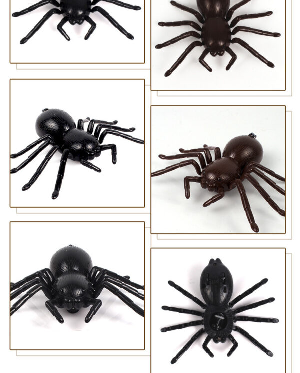 Remote control car spider electronic pet - Image 3