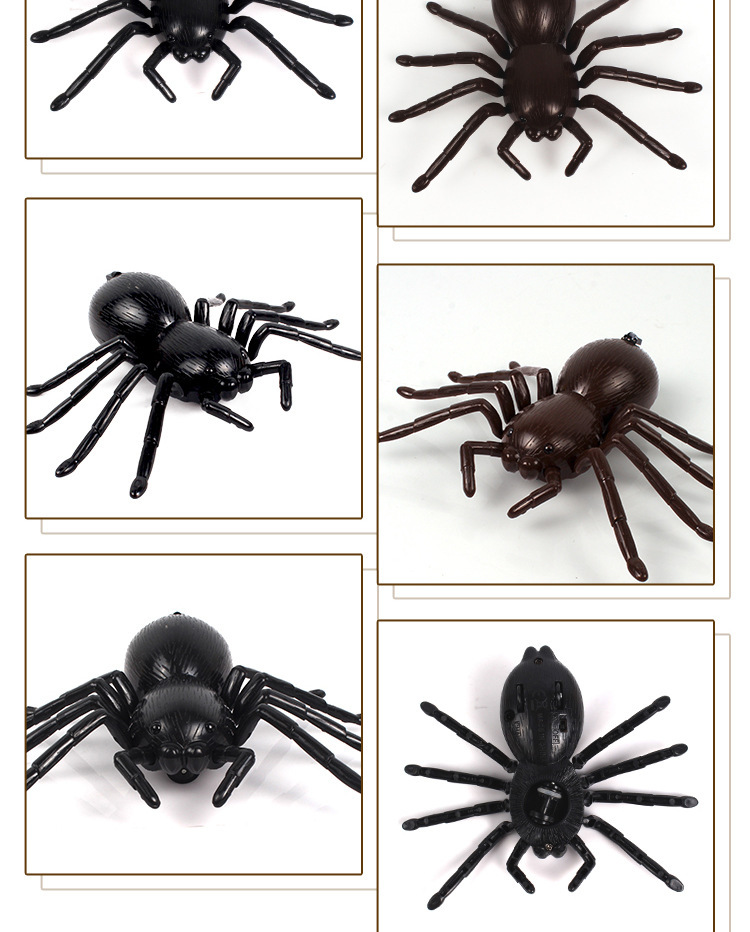 Remote control car spider electronic pet - Image 3