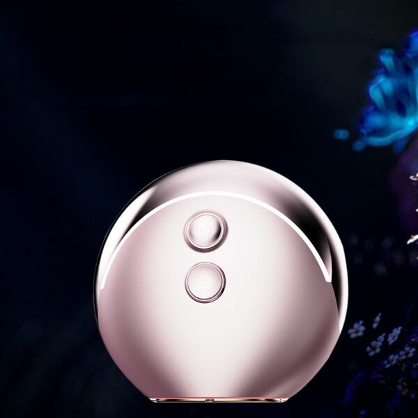 RF Beauty Instrument Facial Massage Whitening - Image 2