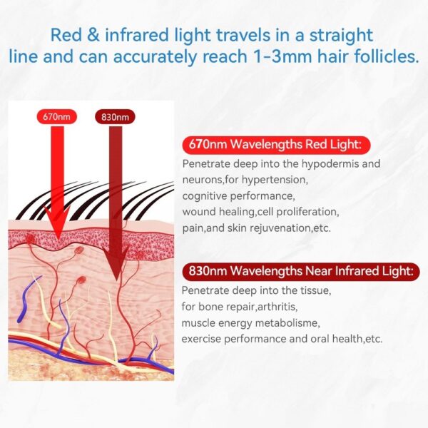 Red Light Therapy Equipment Scalp Massager LED - Image 2