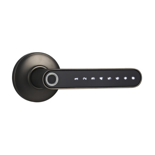 Smart Lock Fingerprint Password Electric Digital Lock  Alloy Keyless Security Door Handle For Home - Image 12