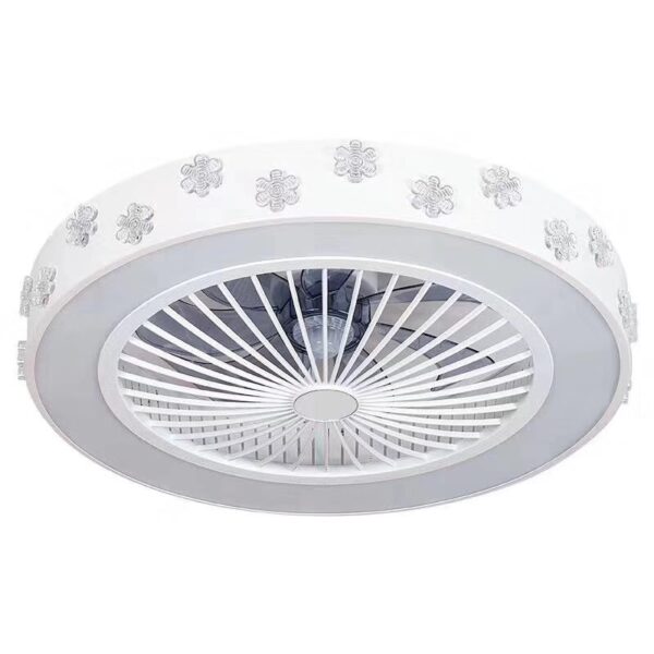 Ceiling Fan Light Simple Household Lamps - Image 11