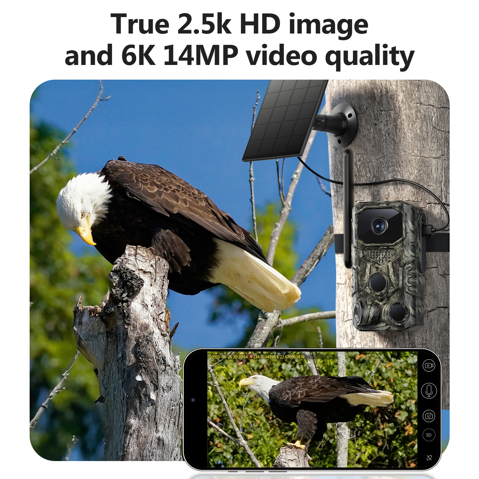 4G GPS Hunting Outdoor Trail Camera Wide Angle 4MP Camouflage Wildlife Deer Monitoring Solar Hunt Camera - Image 4