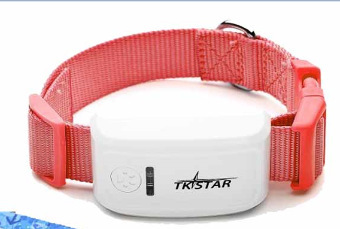 Cat GPS Tracker Locator Device for Pets - Image 23