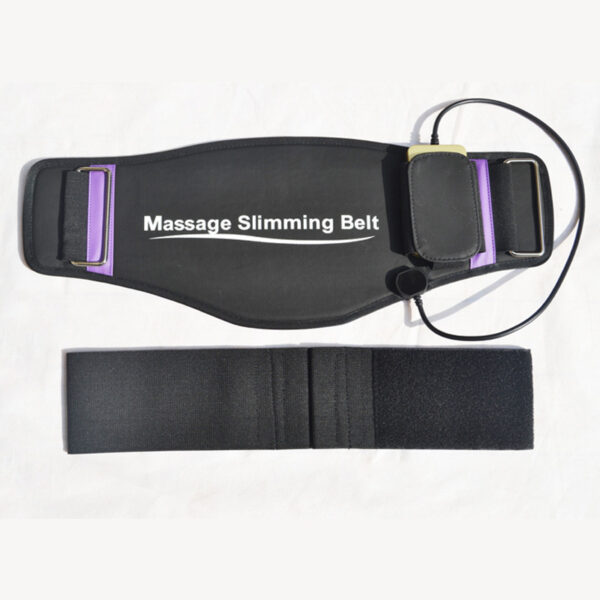 Waist Massager Home Physiotherapy Device - Image 2