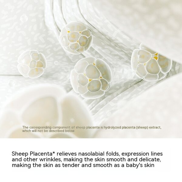 Sheep Placenta Active Toner Lotion Skin Care Product Set - Image 5